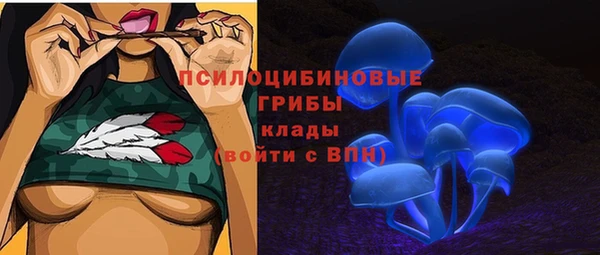 спиды Новодвинск