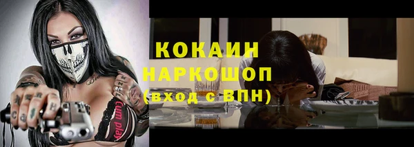 спиды Новодвинск