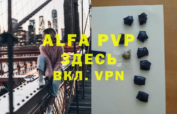 спиды Новодвинск