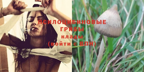 спиды Новодвинск