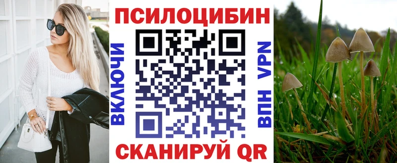 Псилоцибиновые грибы прущие грибы Приморско-Ахтарск